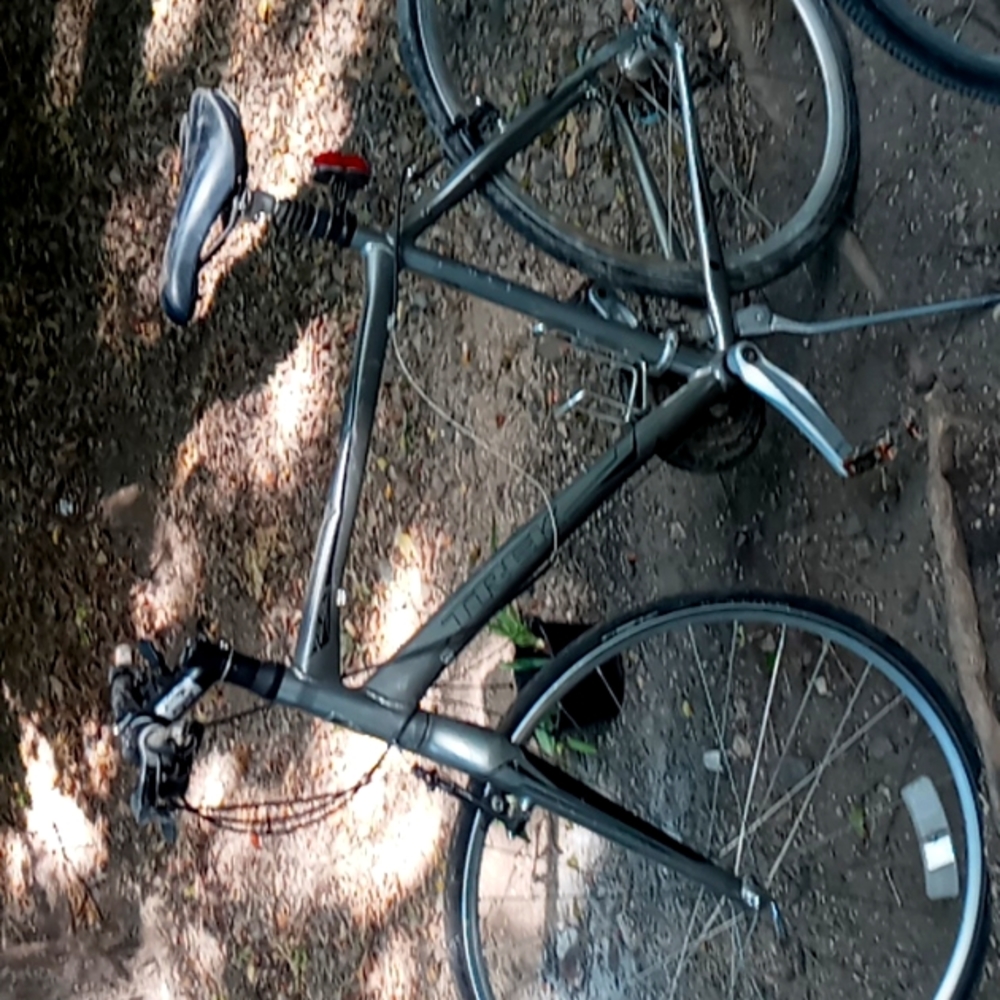 Trek bike
